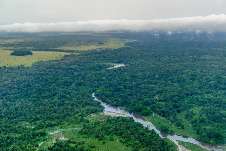 Vista aérea del Parque Nacional Odzala-Kokoua con río y selva, República del Congo