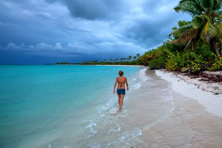Playa caribeña de agua turquesa y palmeras en República Dominicana
