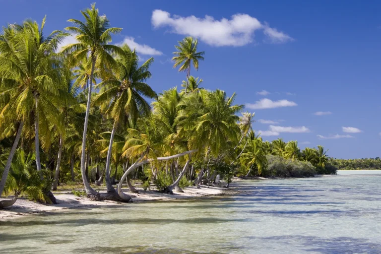 Playa de atolón con cocoteros y laguna transparente en el Pacífico Sur