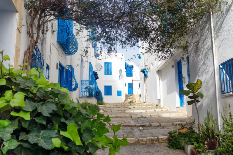 Casas blancas y azules de Sidi Bou Said, Túnez