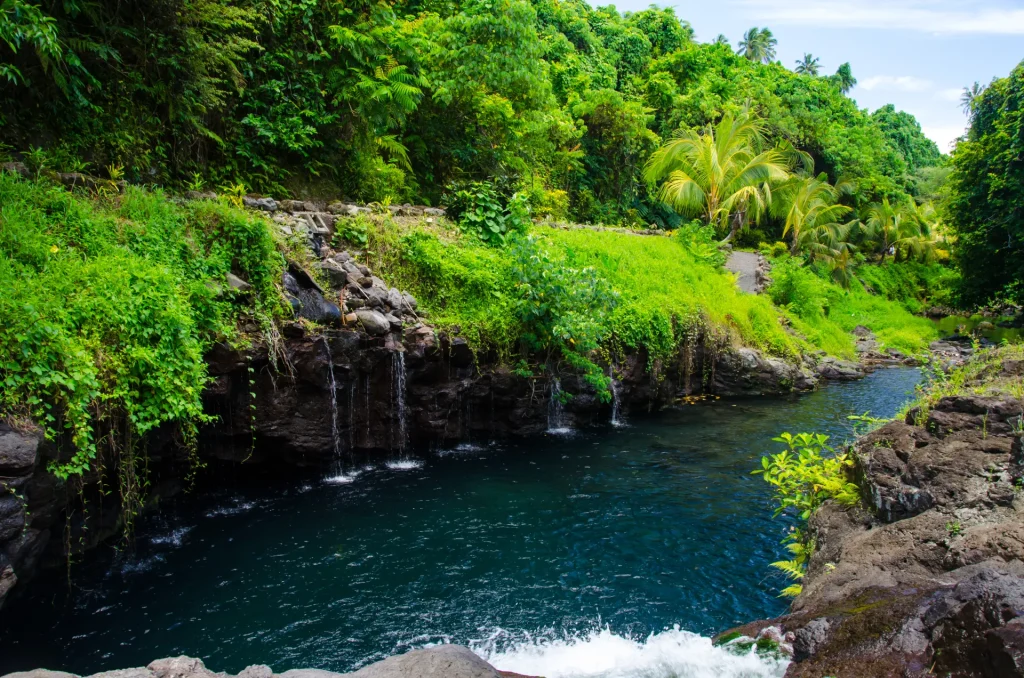Poza natural de agua cristalina rodeada de selva tropical en la Polinesia