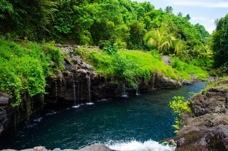 Poza natural de agua cristalina rodeada de selva tropical en la Polinesia
