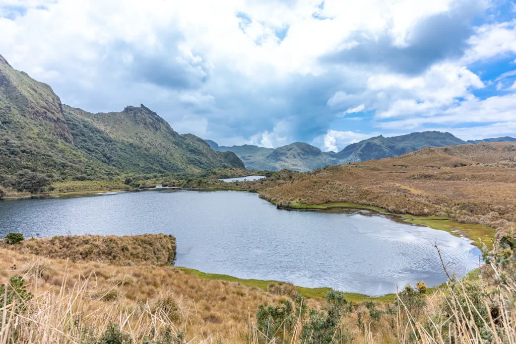 Laguna y páramo andino en la Reserva Ecológica Cayambe-Coca, junto a Papallacta, Ecuador