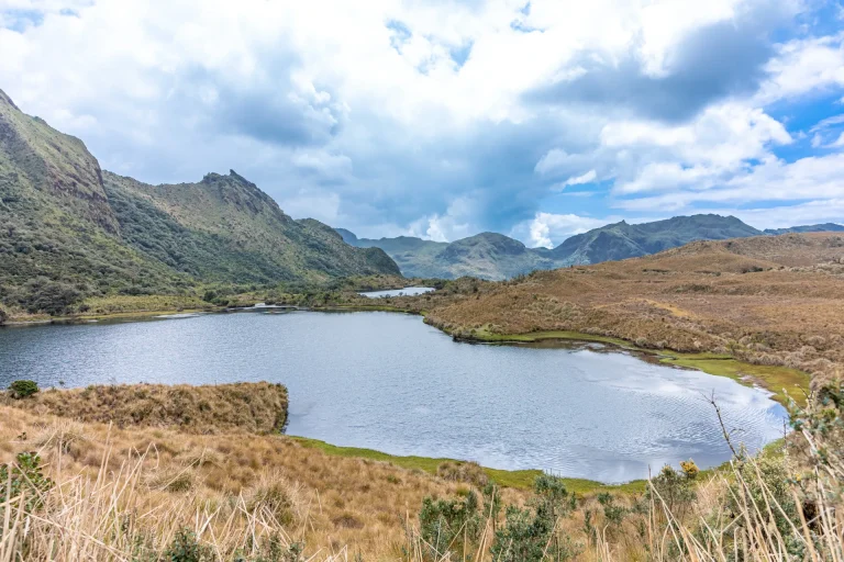 Laguna y páramo andino en la Reserva Ecológica Cayambe-Coca, junto a Papallacta, Ecuador