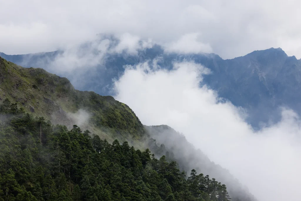 Montañas cubiertas de selva nublada con niebla, paisaje típico del Parque Nacional Henri Pittier, Venezuela
