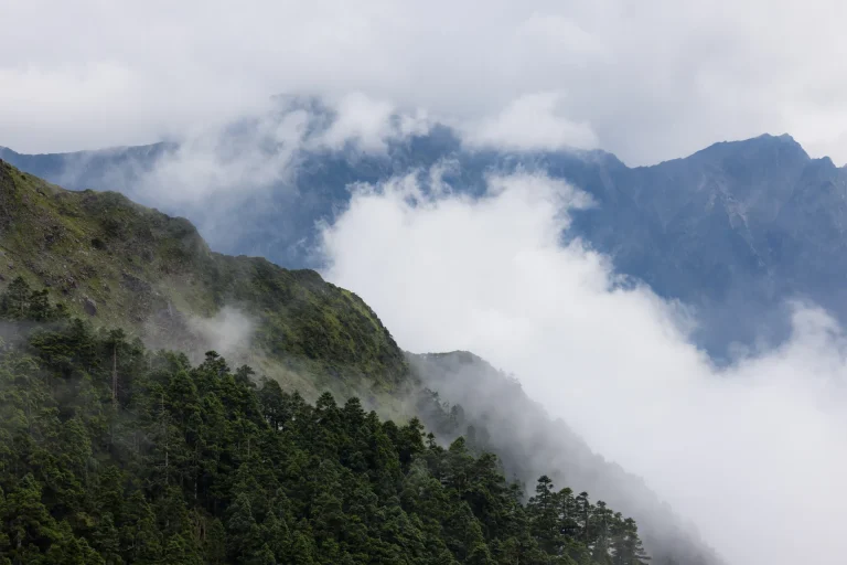 Montañas cubiertas de selva nublada con niebla, paisaje típico del Parque Nacional Henri Pittier, Venezuela