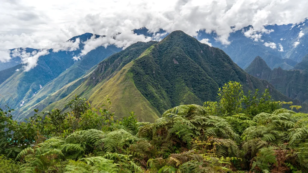 Montañas andinas cubiertas de bosque nuboso, paisaje similar al Parque Nacional Podocarpus, Ecuador