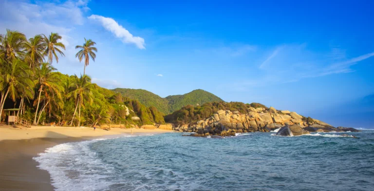 Playa con palmeras y montañas verdes en el Parque Nacional Tayrona, Colombia