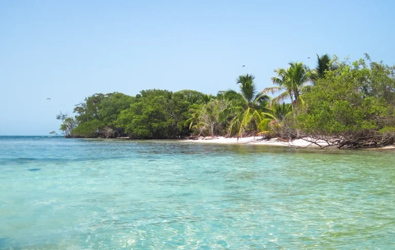 Cayo con palmeras y aguas turquesa del Caribe, similar a los cayos de Providencia, Colombia