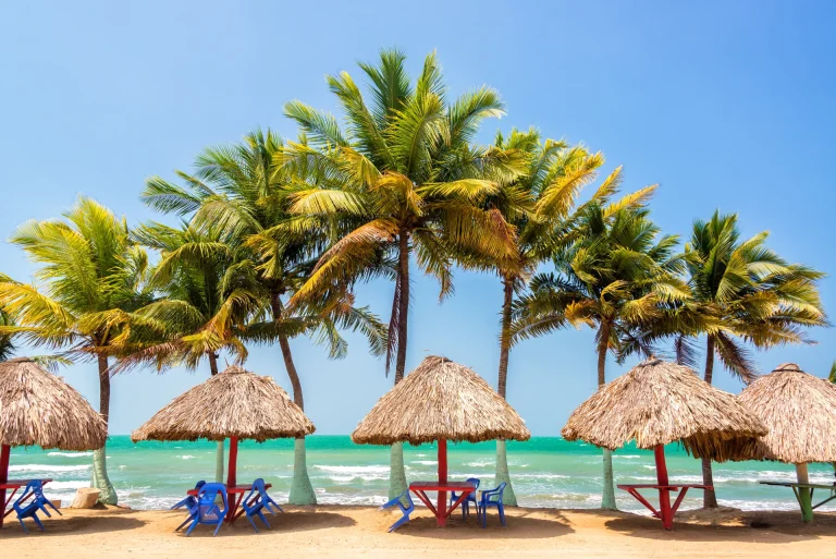 Palmeras y sombrillas de paja frente al mar Caribe, ambiente de playa similar a Puerto La Cruz, Venezuela