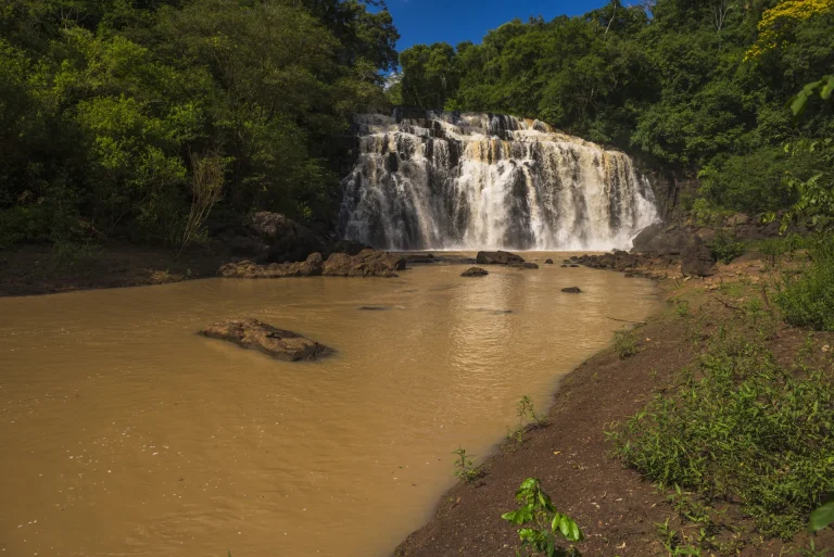 Cascada de aguas oscuras entre selva, paisaje similar a los saltos de los parques Cachamay y La Llovizna en Puerto Ordaz, Venezuela