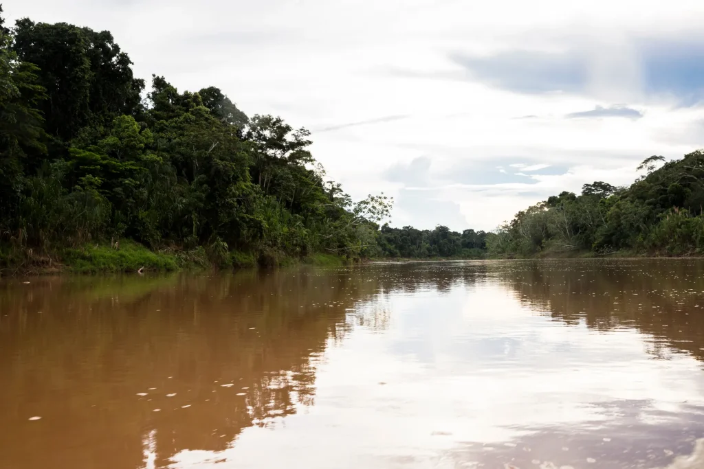 Río amazónico rodeado de selva, paisaje típico de la región de Puyo, Ecuador