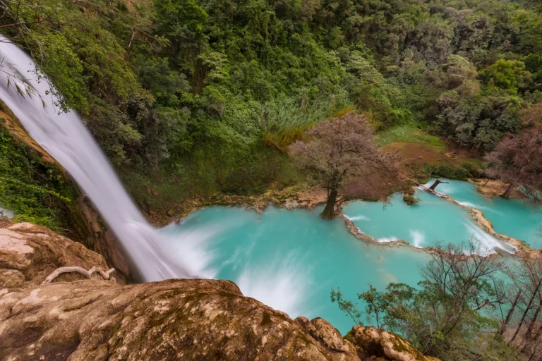 Cascada de aguas turquesa entre vegetación, como las de la Huasteca Potosina, San Luis Potosí, México