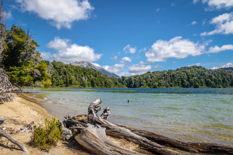 Lago patagónico rodeado de bosque en Neuquén, paisaje similar al de San Martín de los Andes, Argentina