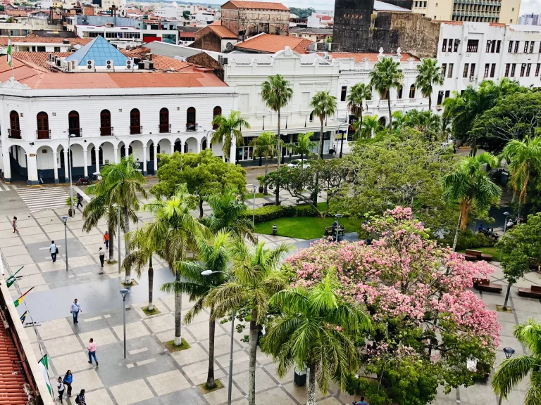 Plaza 24 de Septiembre con árboles floridos vista desde lo alto, Santa Cruz de la Sierra, Bolivia